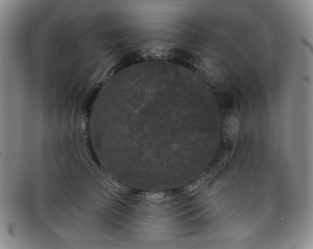 X0000098150709200804241739
