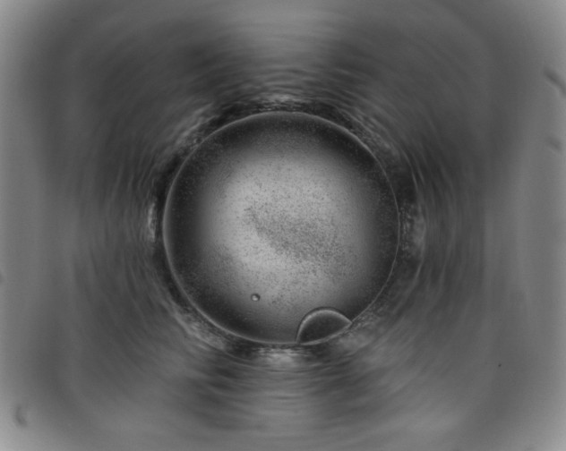 X0000098150710200804241739
