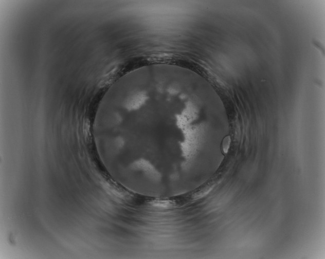X0000098150711200804241739