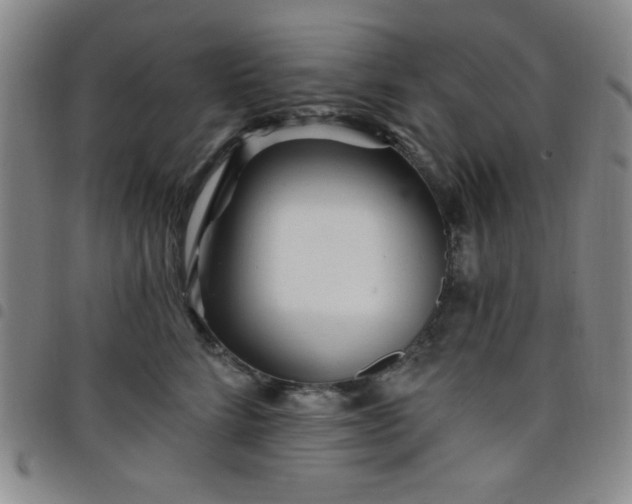 X0000098150712200804241739