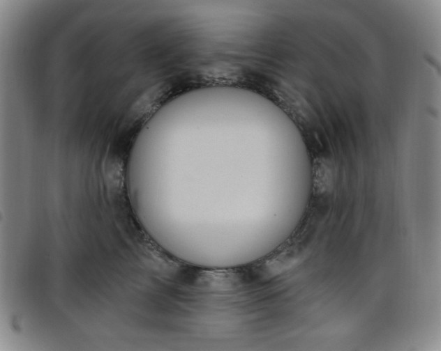 X0000098150713200804241739