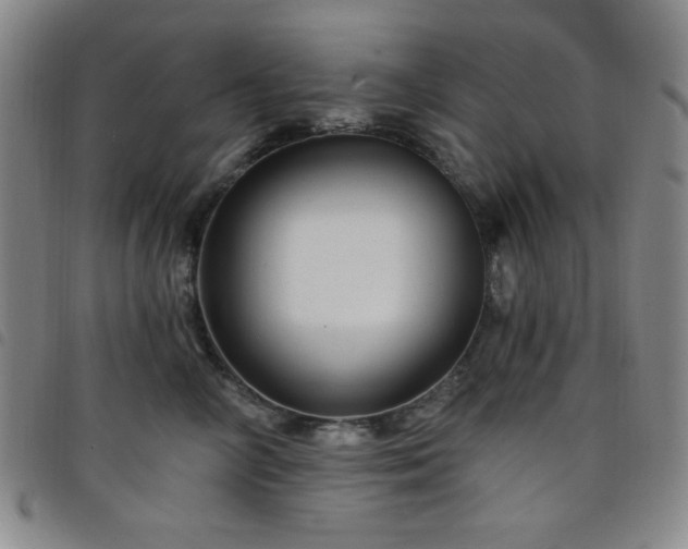 X0000098150714200804241739