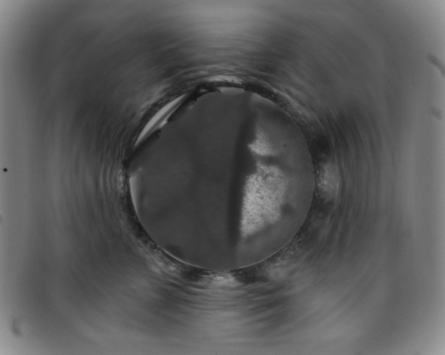 X0000098150715200804241739