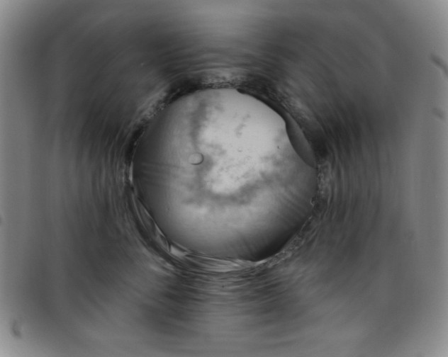 X0000098150716200804241739