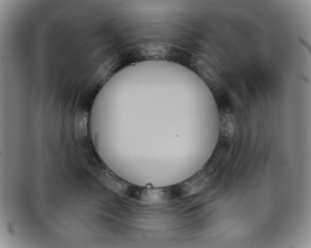 X0000098150717200804241739
