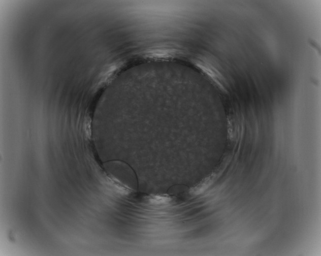 X0000098150718200804241739