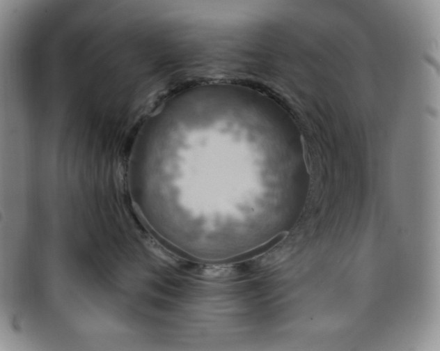 X0000098150720200804241739