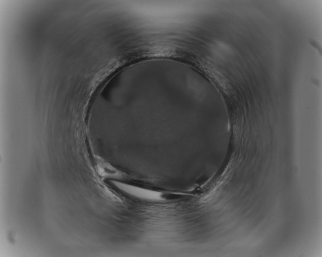 X0000098150721200804241739