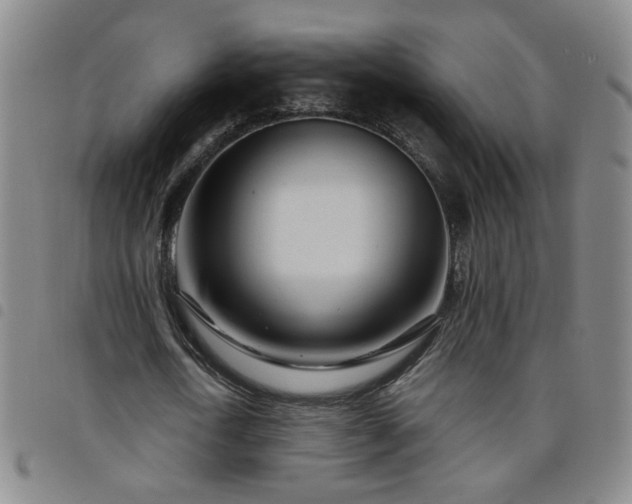 X0000098150722200804241739