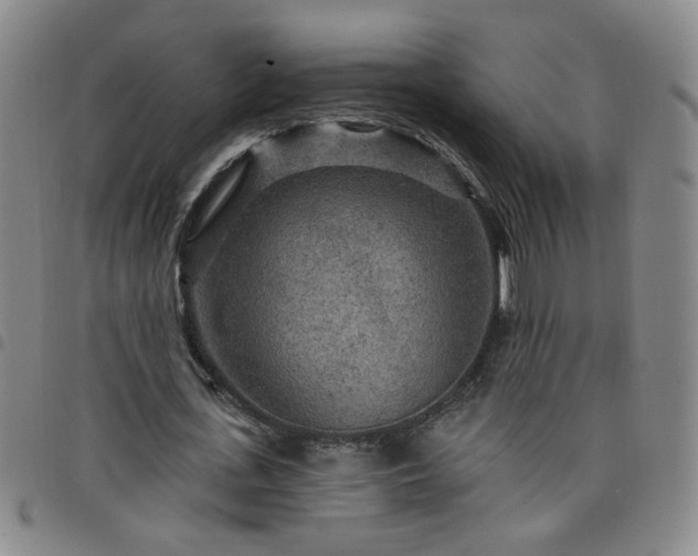 X0000098150723200804241739