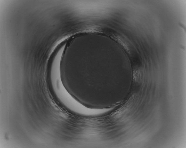 X0000098150724200804241739