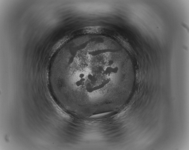 X0000098150725200804241739