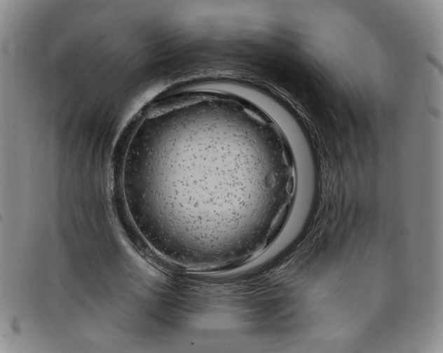 X0000098150726200804241739