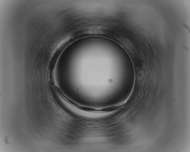 X0000098150727200804241739
