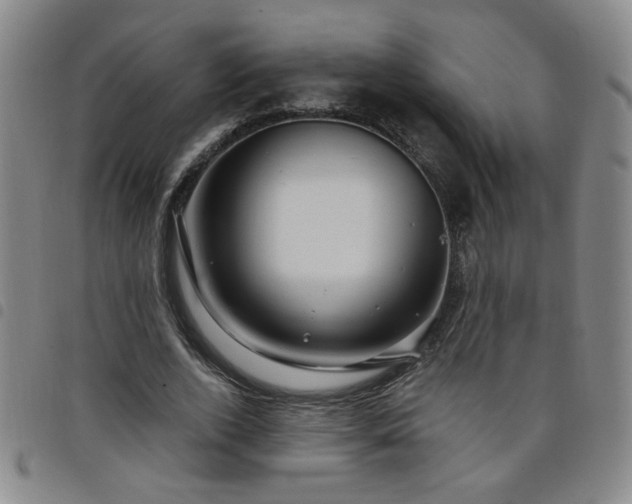 X0000098150728200804241739