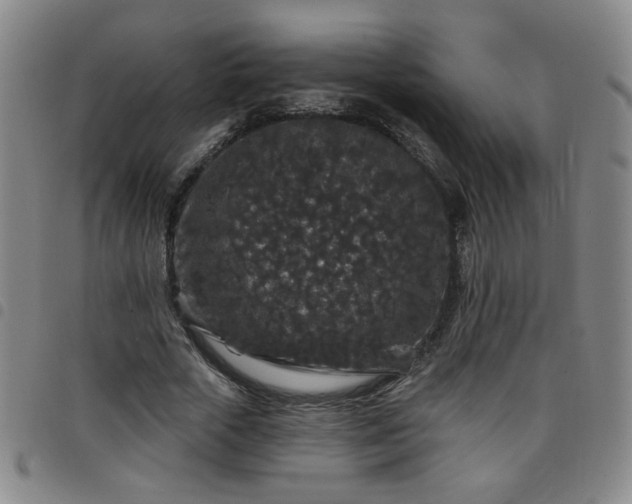 X0000098150729200804241739