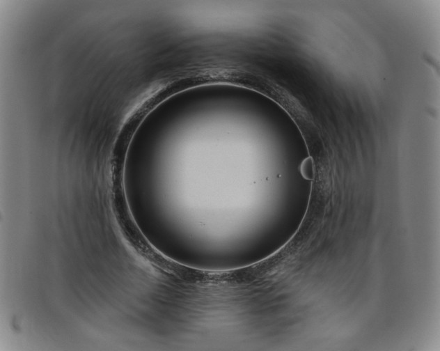 X0000098150730200804241739