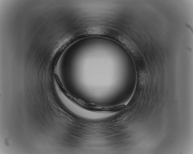 X0000098150731200804241739