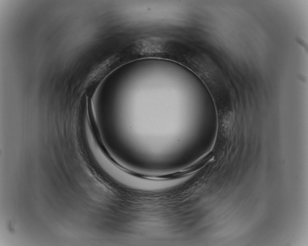 X0000098150732200804241739