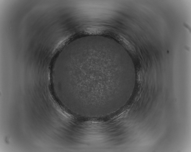 X0000098150733200804241739