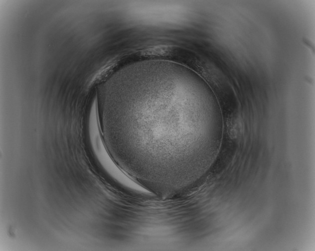 X0000098150735200804241739