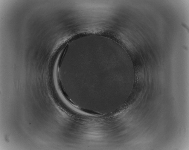 X0000098150736200804241739