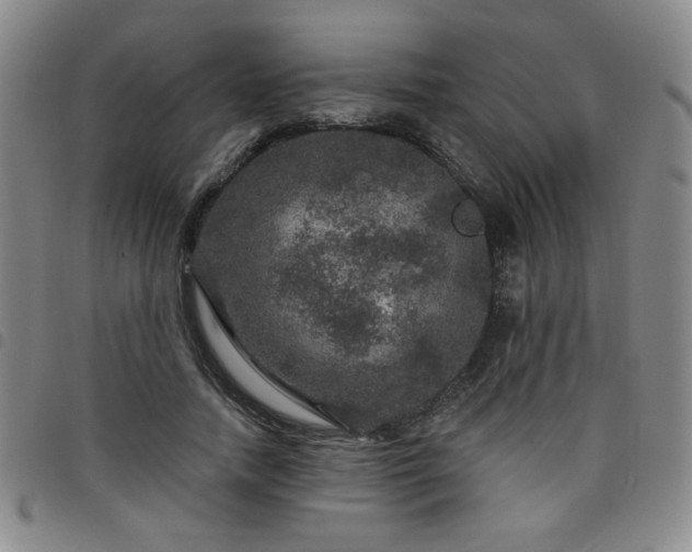X0000098150738200804241739