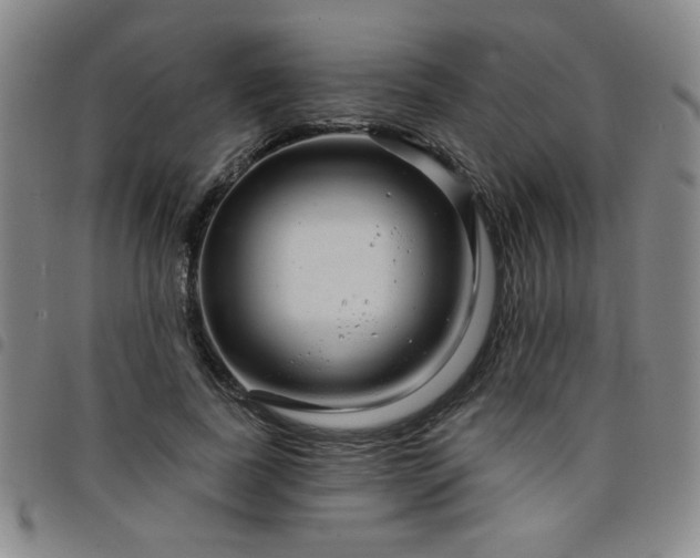 X0000098150739200804241739