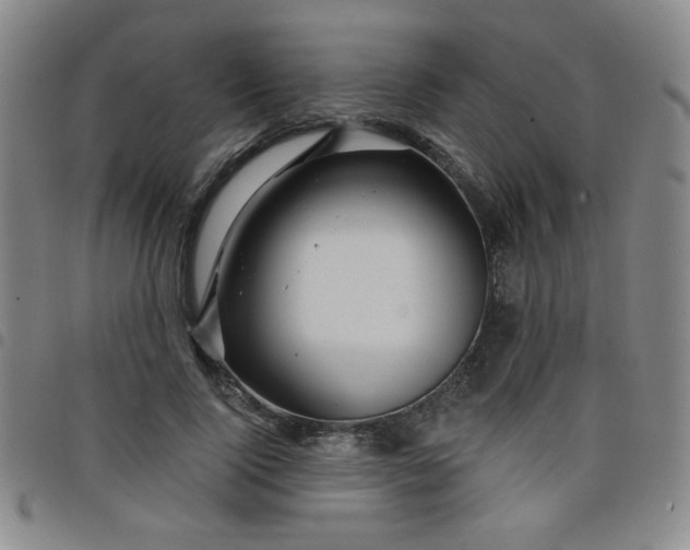 X0000098150740200804241739