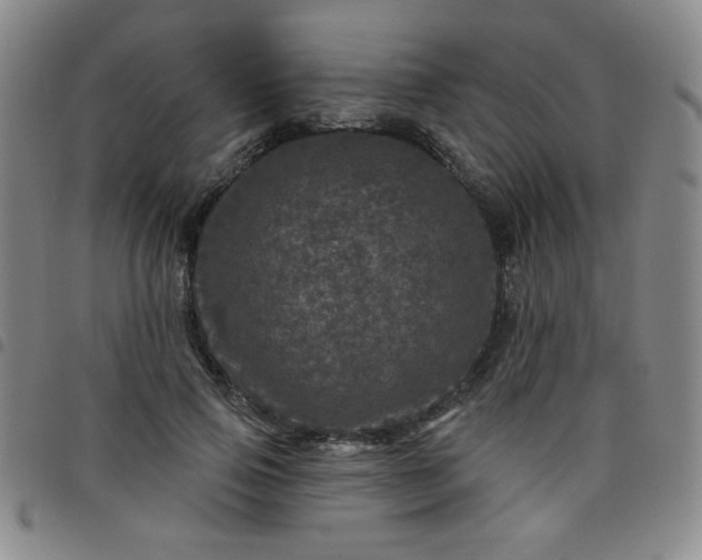 X0000098150741200804241739