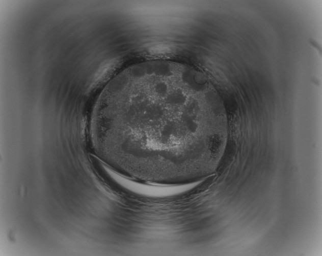 X0000098150742200804241739