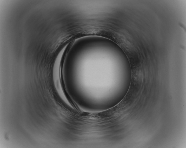 X0000098150743200804241739