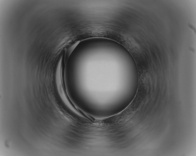 X0000098150744200804241739