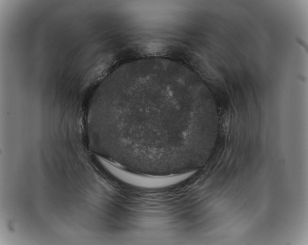 X0000098150746200804241739