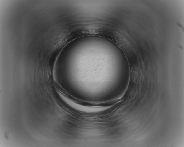 X0000098150747200804241739