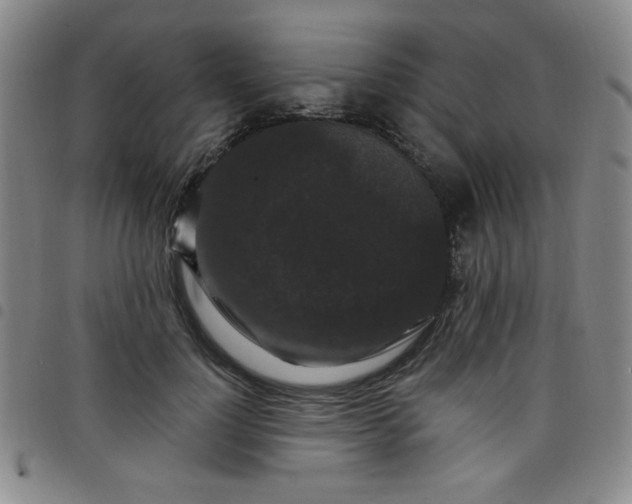 X0000098150748200804241739