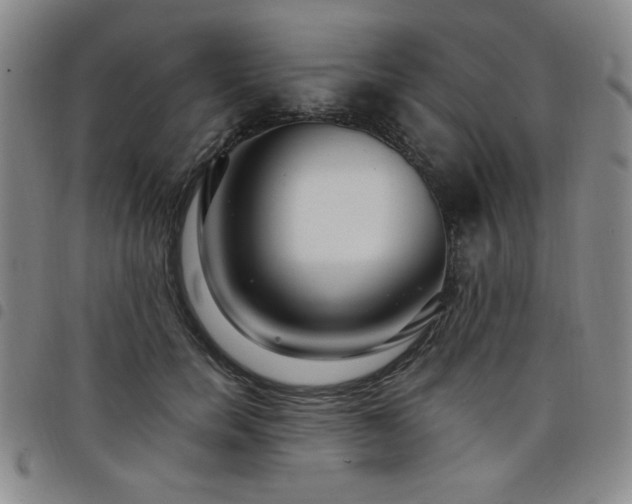 X0000098150750200804241739