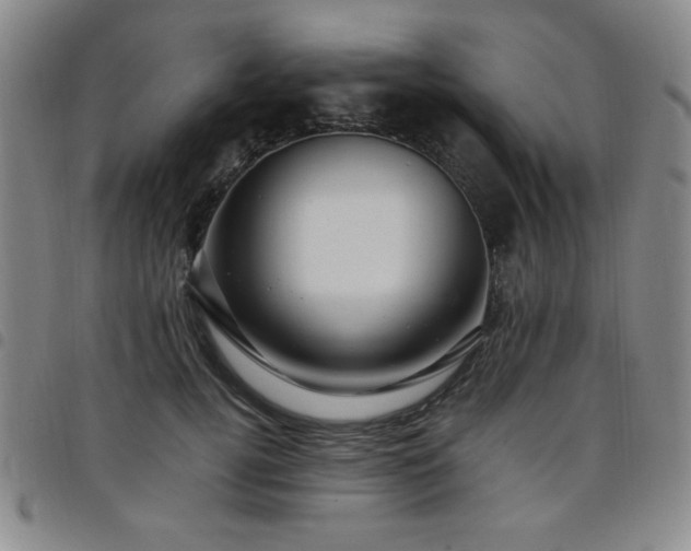 X0000098150752200804241739