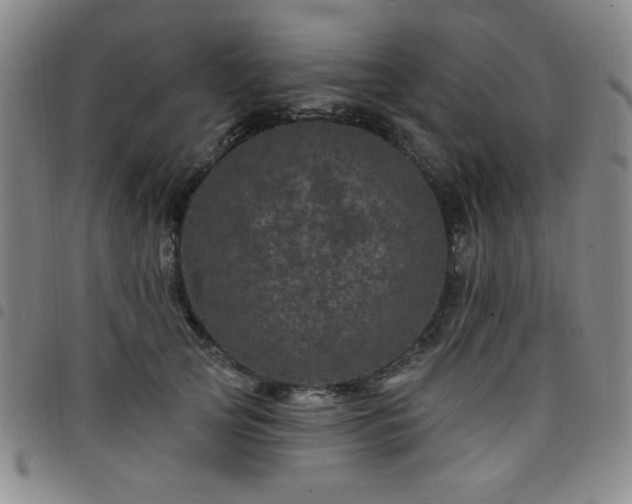 X0000098150753200804241739
