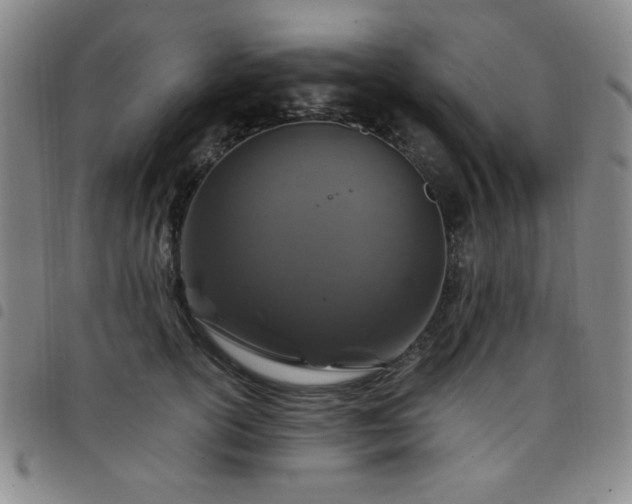 X0000098150754200804241739