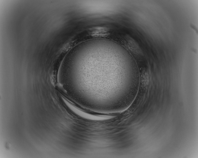 X0000098150755200804241739
