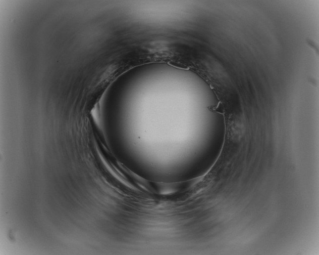 X0000098150756200804241739