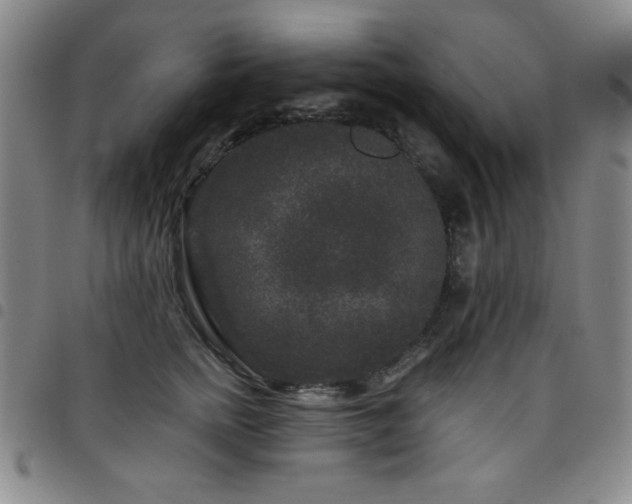 X0000098150758200804241739