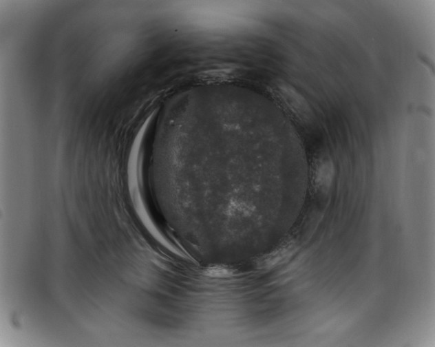 X0000098150759200804241739