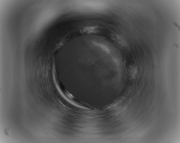X0000098150760200804241739