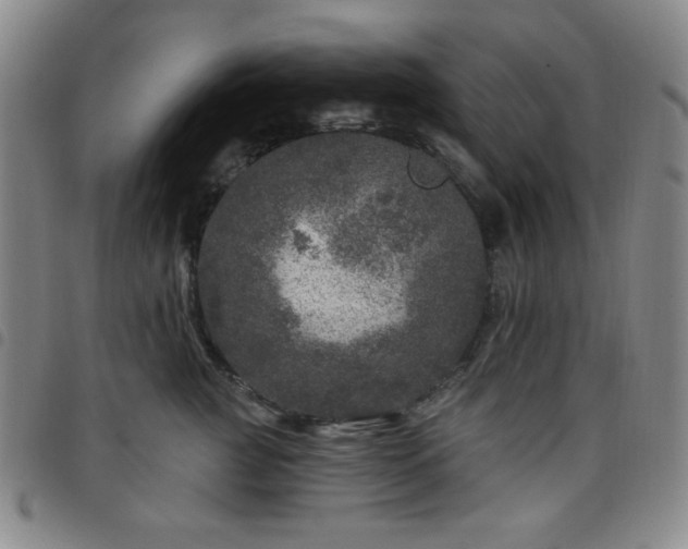 X0000098150761200804241739