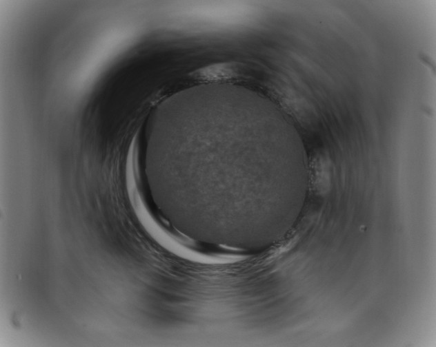 X0000098150762200804241739