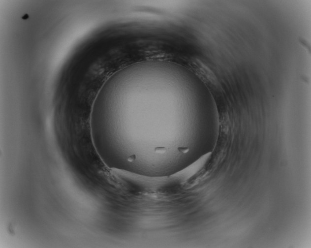 X0000098150763200804241739