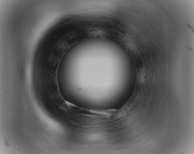 X0000098150764200804241739