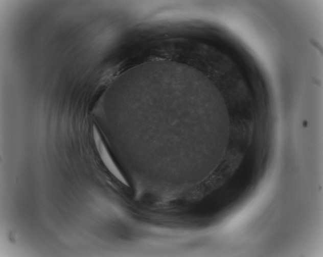 X0000098150766200804241739